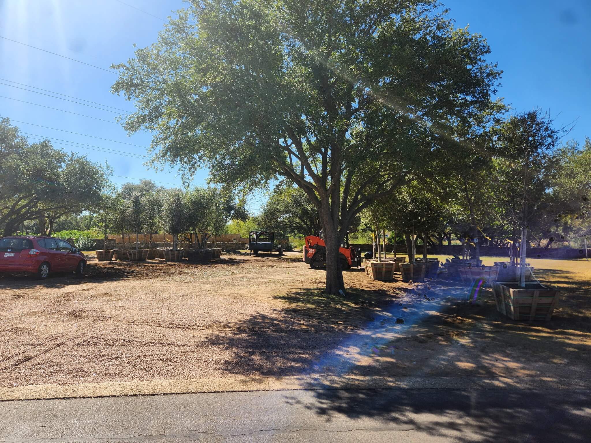 Tree planting and landscaping project in the Hill Country